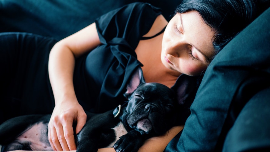 Sleeping girl with a dog