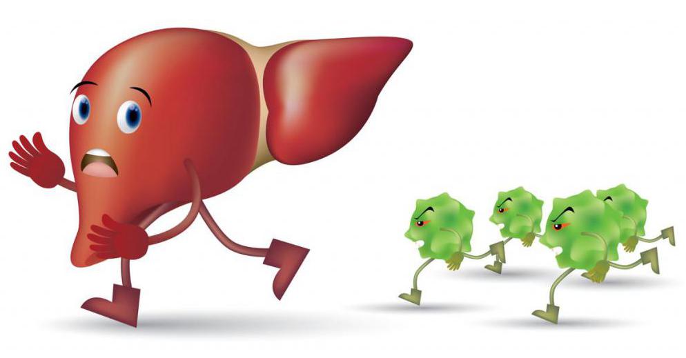 отравление печени алкоголем