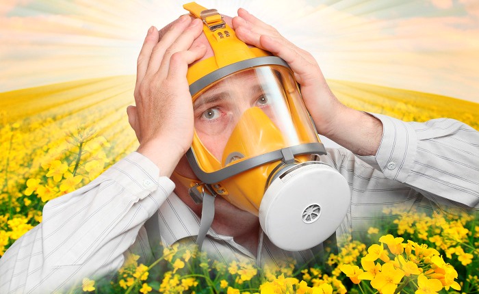 почему возникает аллергия на пыльцу