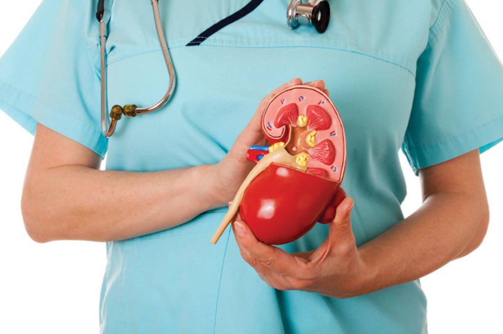 diet with chronic kidney disease