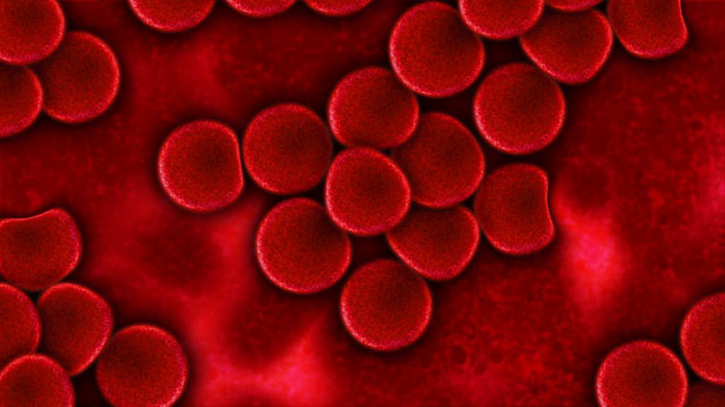 кровяные частицы гемоглобина