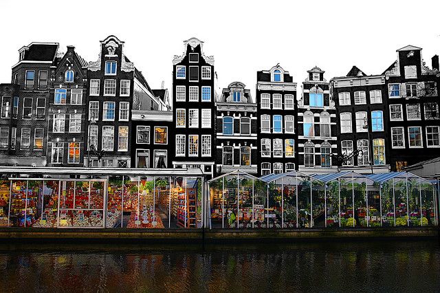 Лавки и цветочные базары в Амстердаме