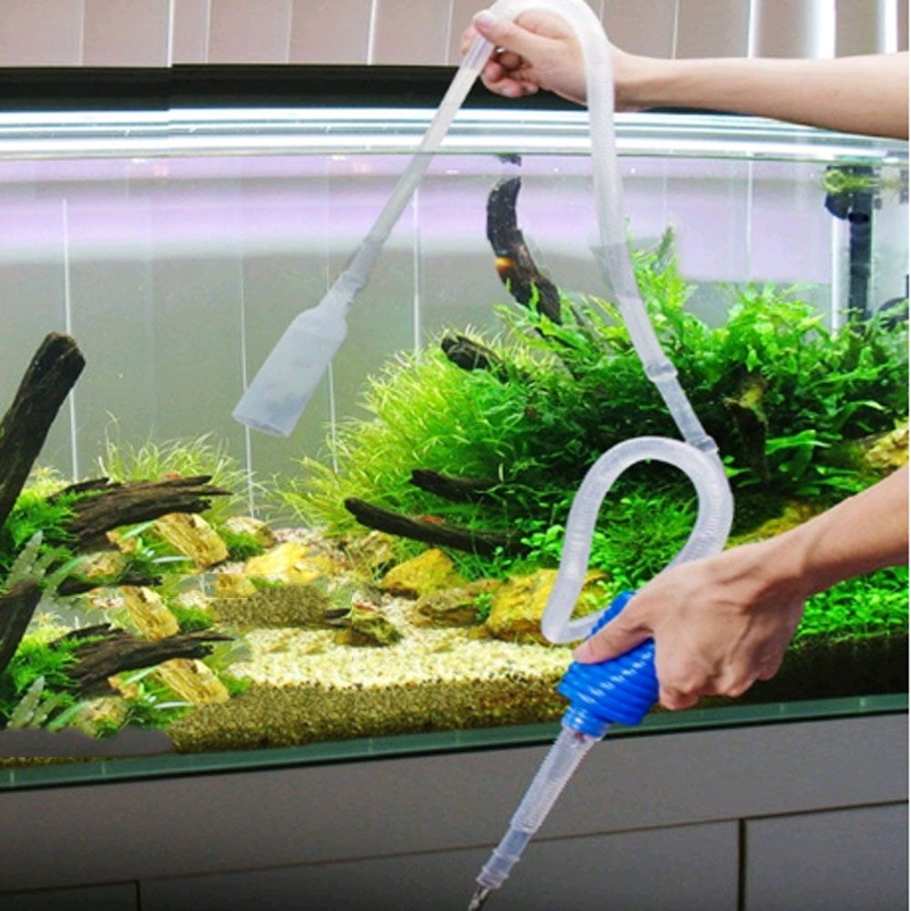 Aquarium cleaning