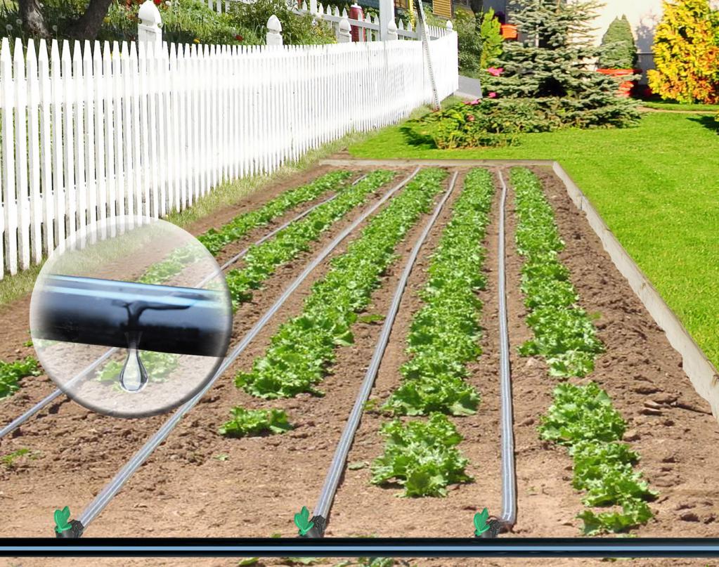 Drip irrigation