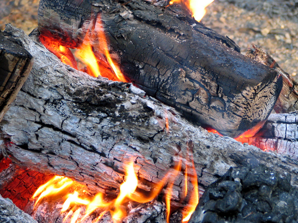 Температура горения дров в печи: виды древесины, сравнительные .