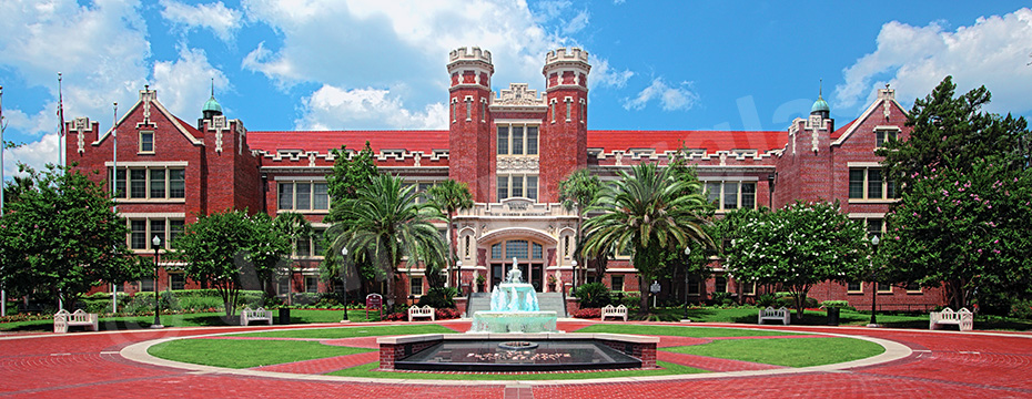 Университет штата Флорида