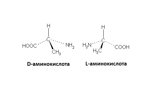 Аминокислоты L- и D-ряда