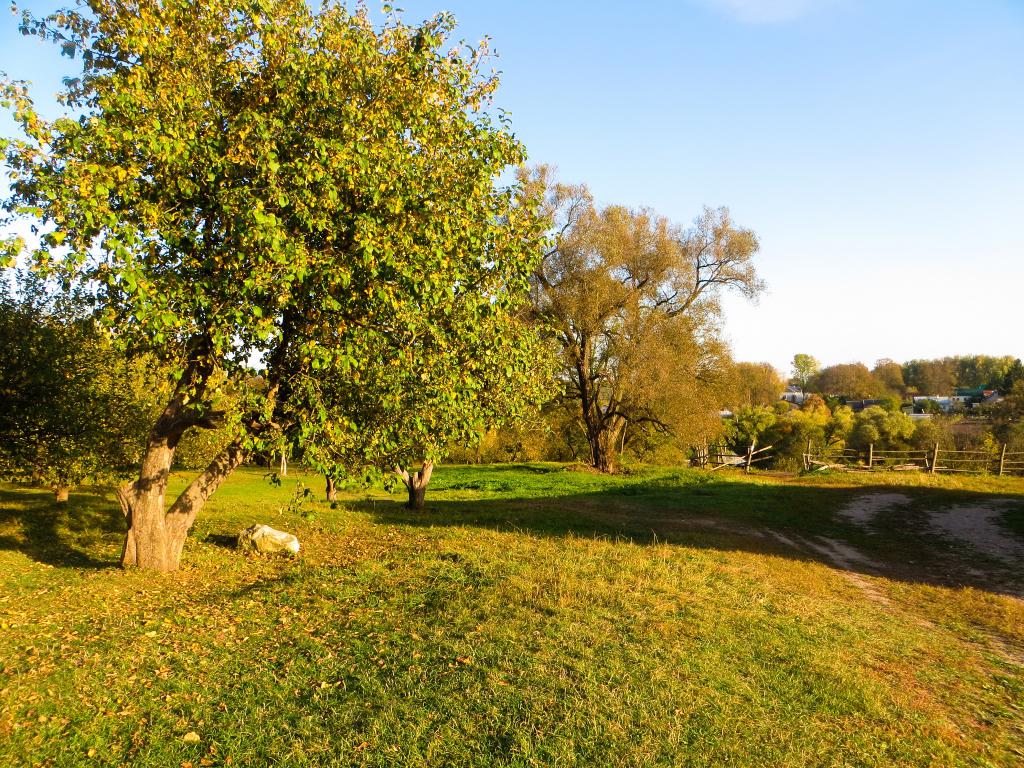 apple orchards