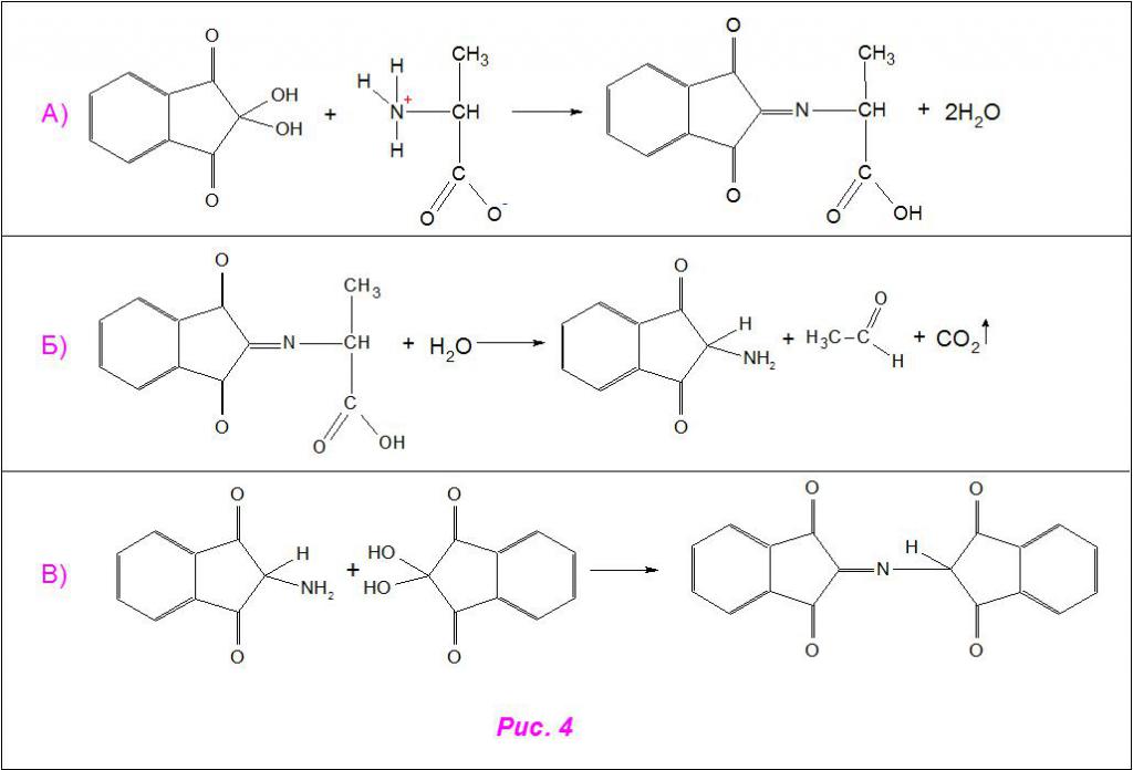 Пример реакции нингидрина с аланином