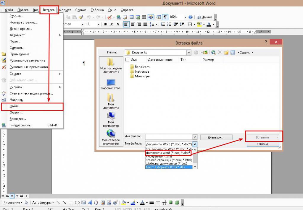 В документе ms word нельзя вставить программы