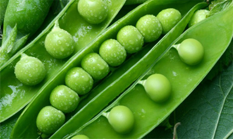 Зеленый Горошек Замороженный Фото