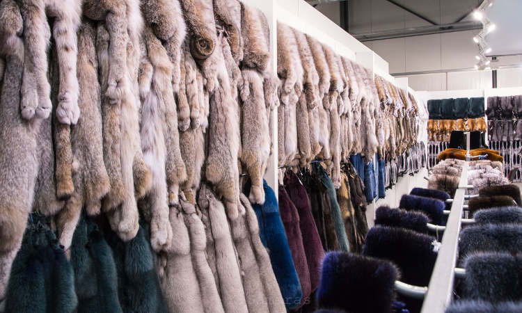 Assortment in a fur store