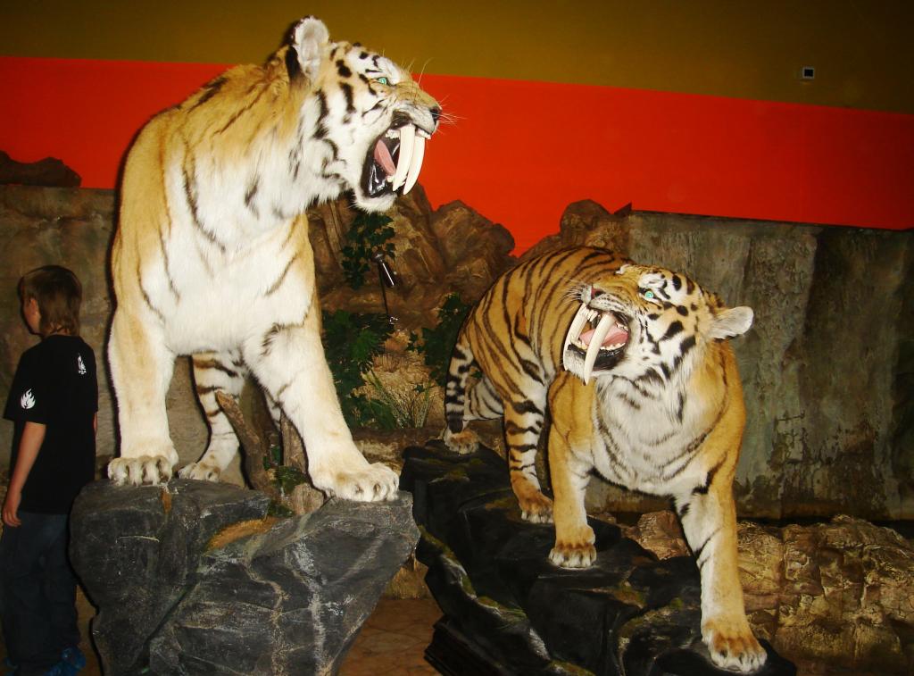 Exhibits of the Museum "Ice Age"