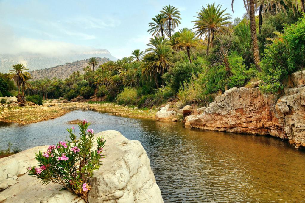 Природа в марокко