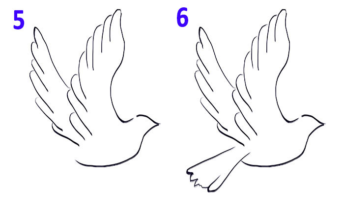 How to draw a bird