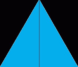 the height of the triangle is