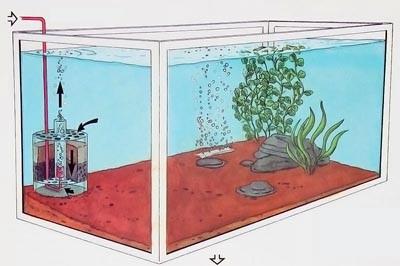 как правильно ухаживать за аквариумом