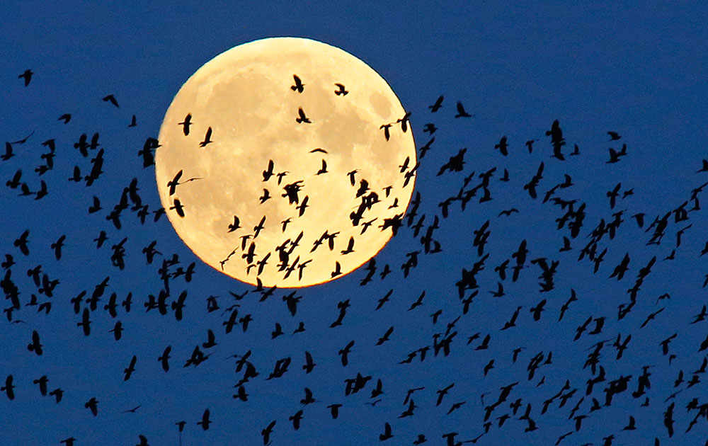 Perigee Moon, Belarus