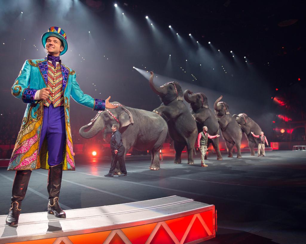 Рингмейстер (ведущий цирка) на фоне дрессированных слонов.