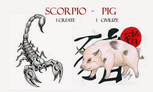 Гороскоп свинья мужчины. Кабан Скорпион. Свинья Скорпион женщина характеристика. Скорпион в год кабана характер. Символы китайского гороскопа свинья.