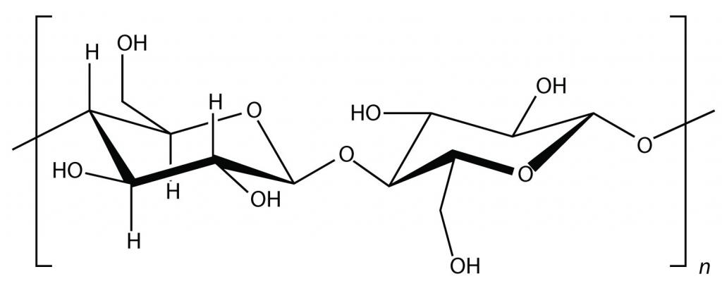 The structure and properties of polymers