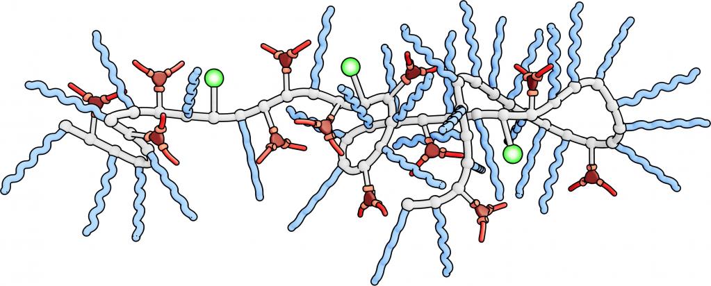 What is the structure of polymers