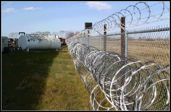 Barbed wire