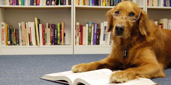 книги о собаках список литературы