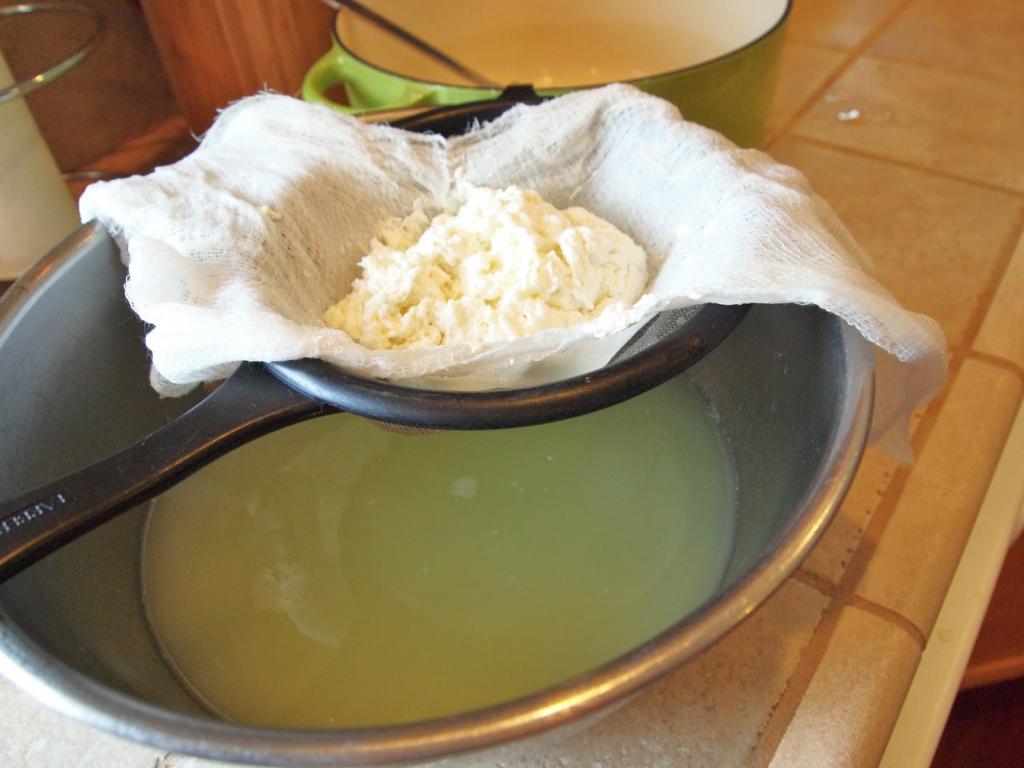 curd production
