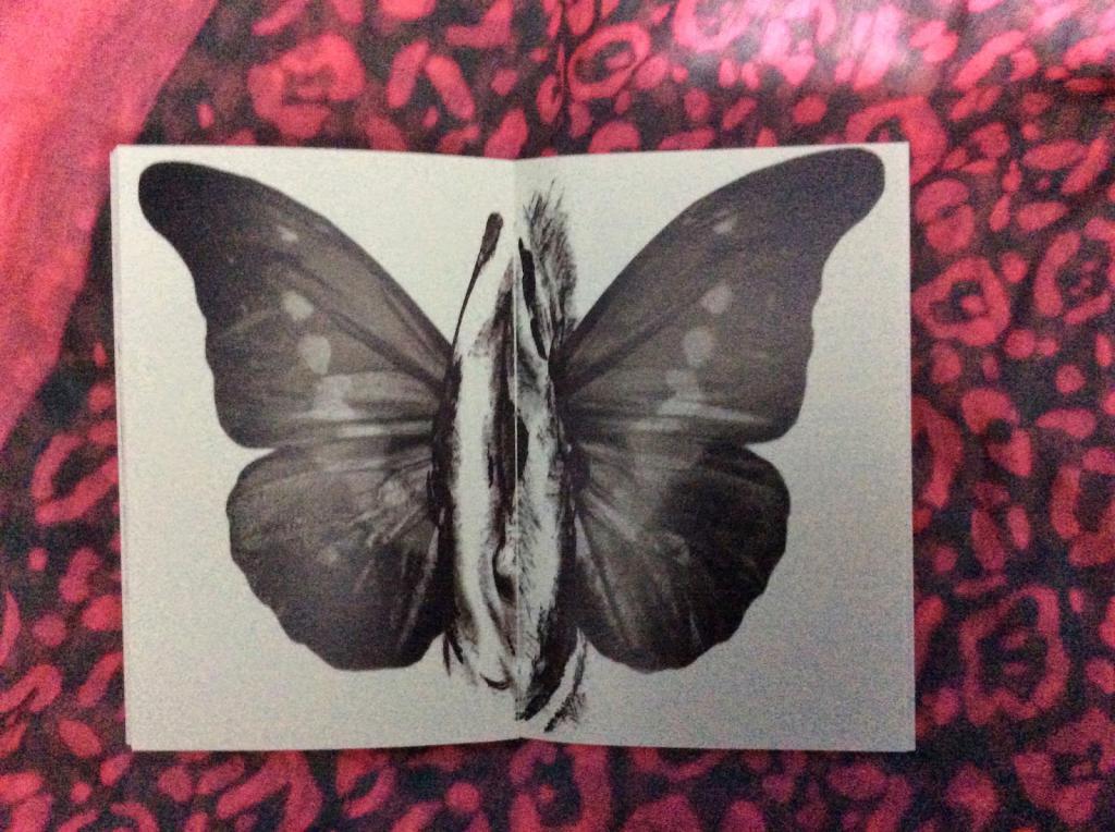 Vulva "butterfly"