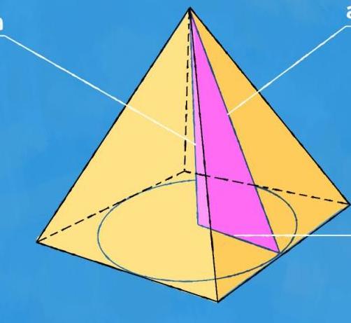 Апофема в равнобедренном треугольнике