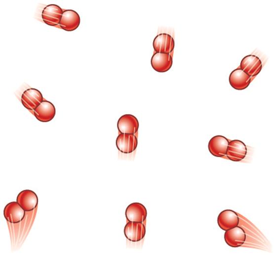 Diatomic ideal gas