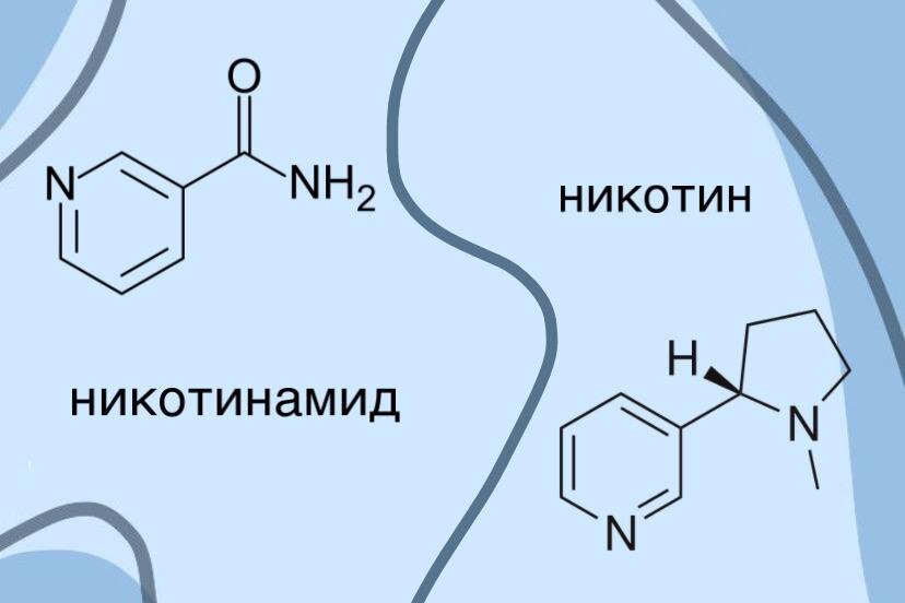 Ниацинамид с чем нельзя. Никотинамид. Ретинол и ниацинамид совместимость. Никотин и никотиновая кислота. Амид никотиновой кислоты.