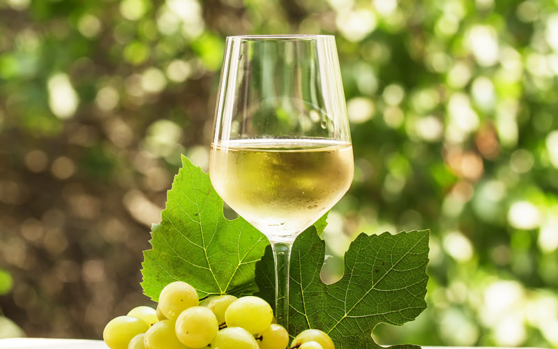 Польза и вред белого вина