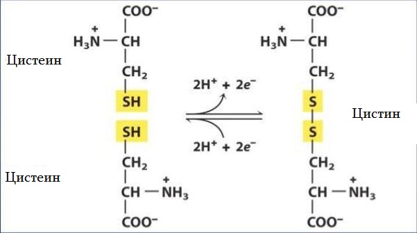 Substance synthesis