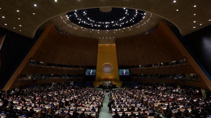 организация объединенных наций оон резолюция