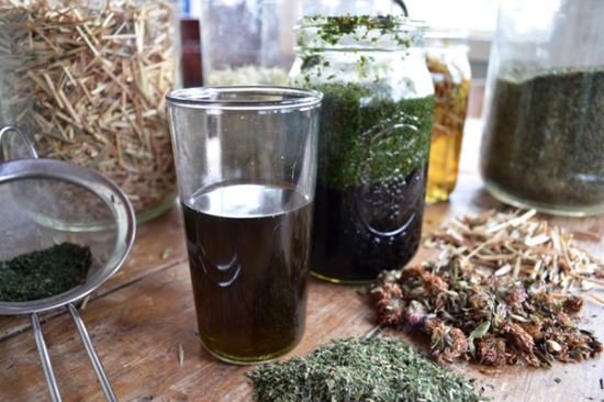 Herbs and Infusions