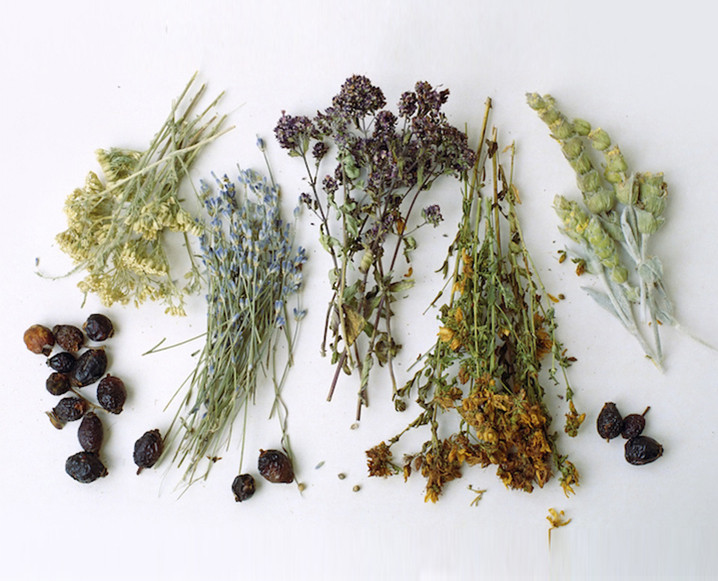 Healing herbs