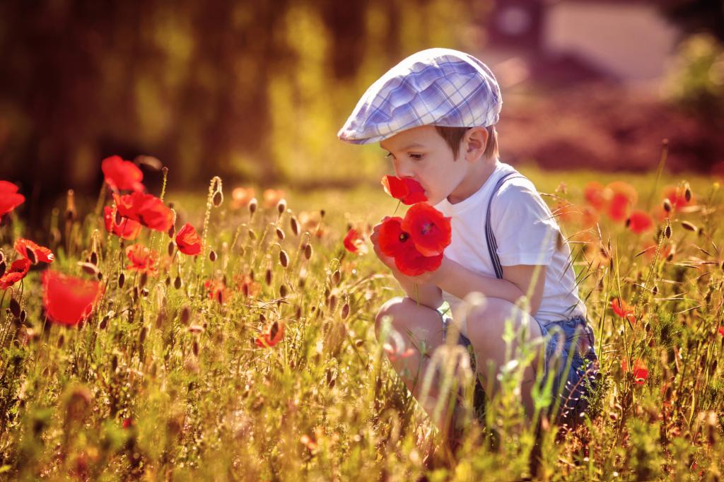 Boy in summer