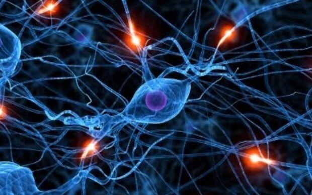 нейрональные связи