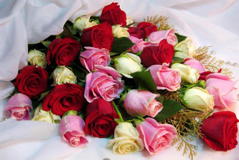 красивый букет разноцветных роз