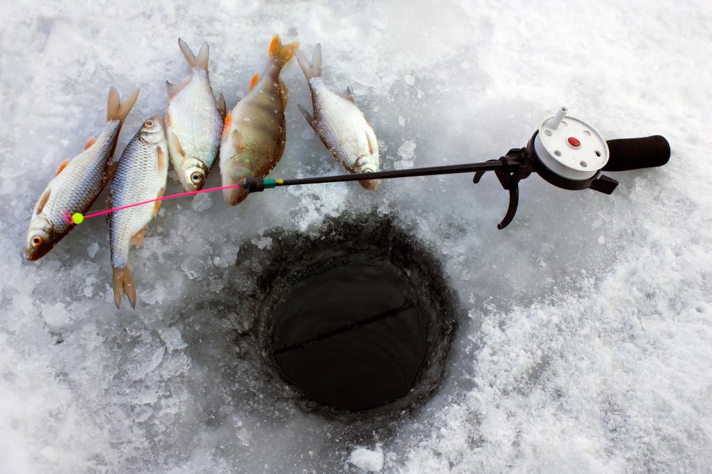Удочка для зимней рыбалки.
