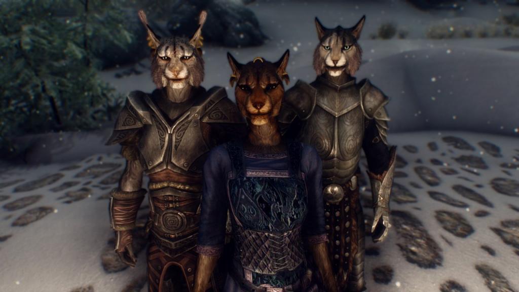 The Khajiit race in Skyrim.