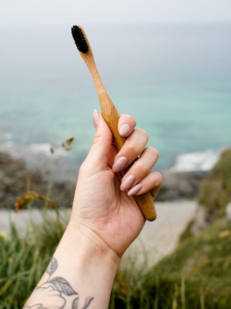 Bamboo brushes