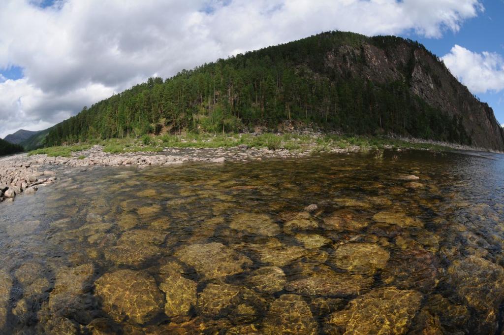 view from the Olekma river to the island