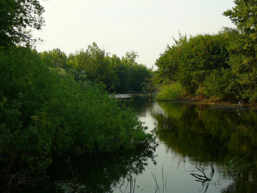 river of the Saratov region