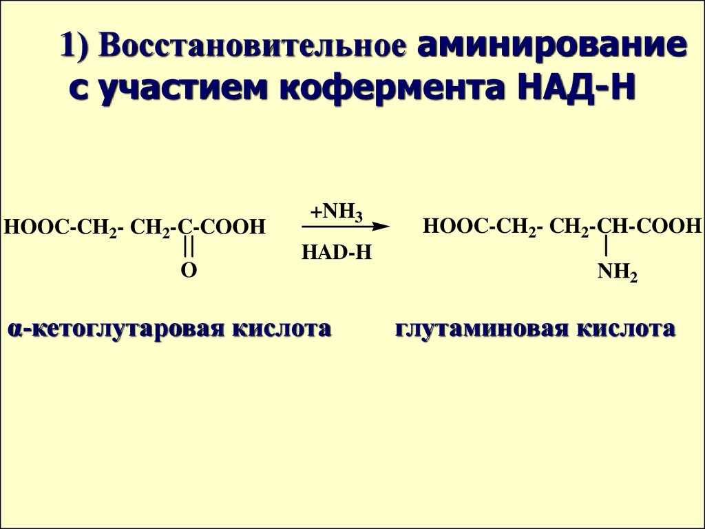 Восстановительное аминирование с участием кофермента НАД-Н