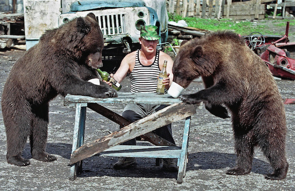 Ручные медведи в России