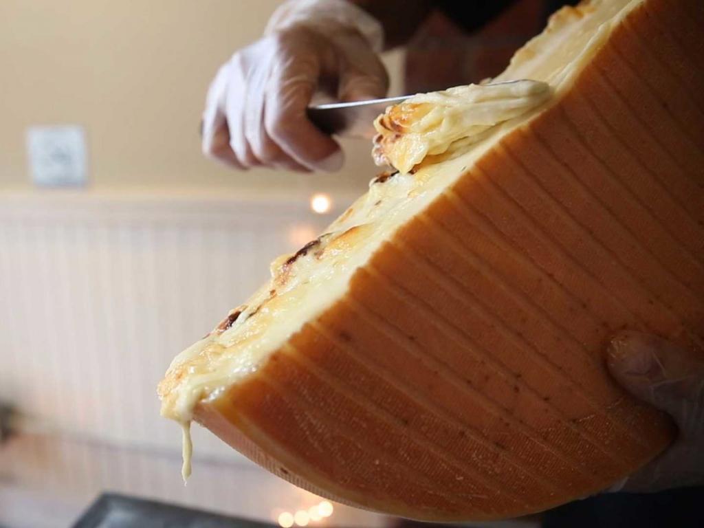 сколько переваривается сыр в желудке
