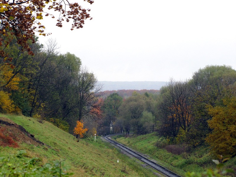 Local railway